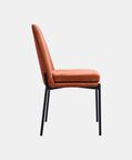 Sky Plywood Steel Dining Chair
