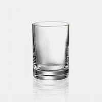 Scotch Glass Long Tumbler