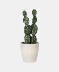 Artificial Plant Pot