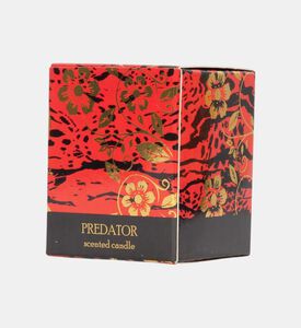 Ladenac Intensa Pure Cologne 75 Gr, Packshot View