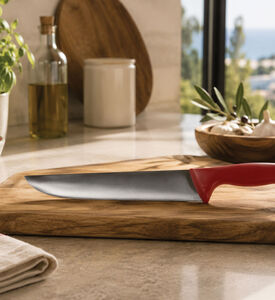 Deglon Stainless Steel Butcher Knife, Packshot View