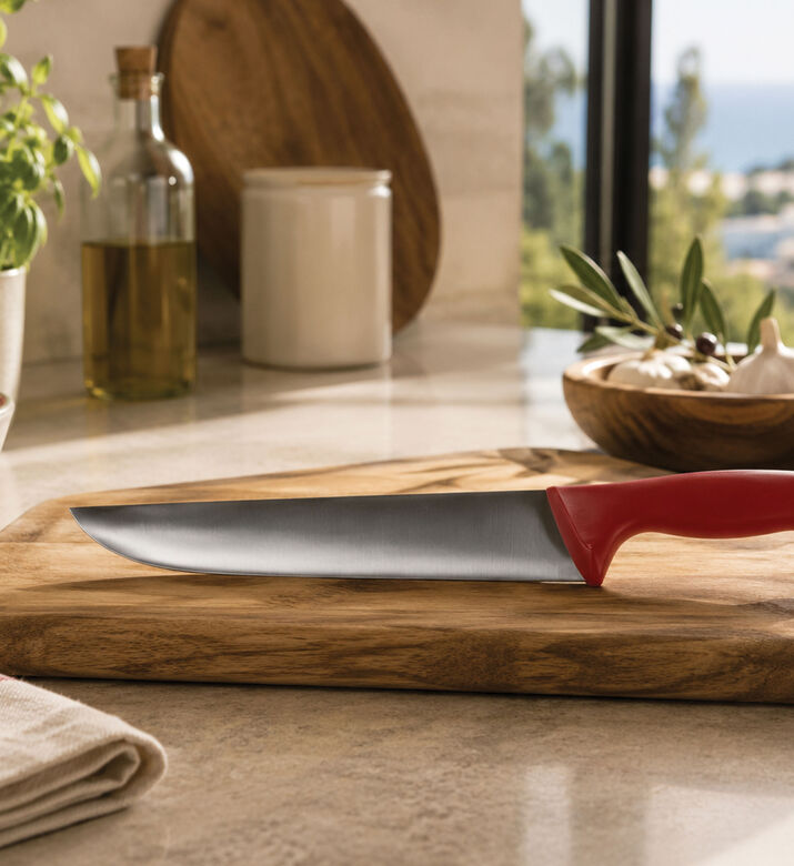 Deglon Stainless Steel Butcher Knife, Packshot View