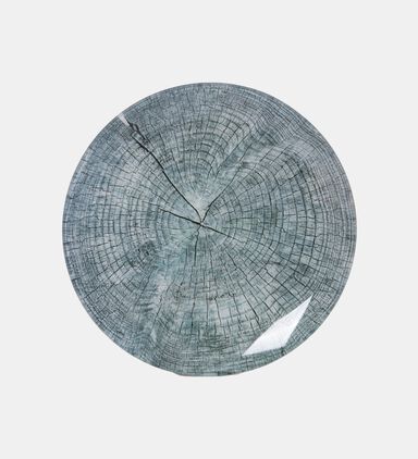 Glass Tree Trunk Printed Plate 24cm