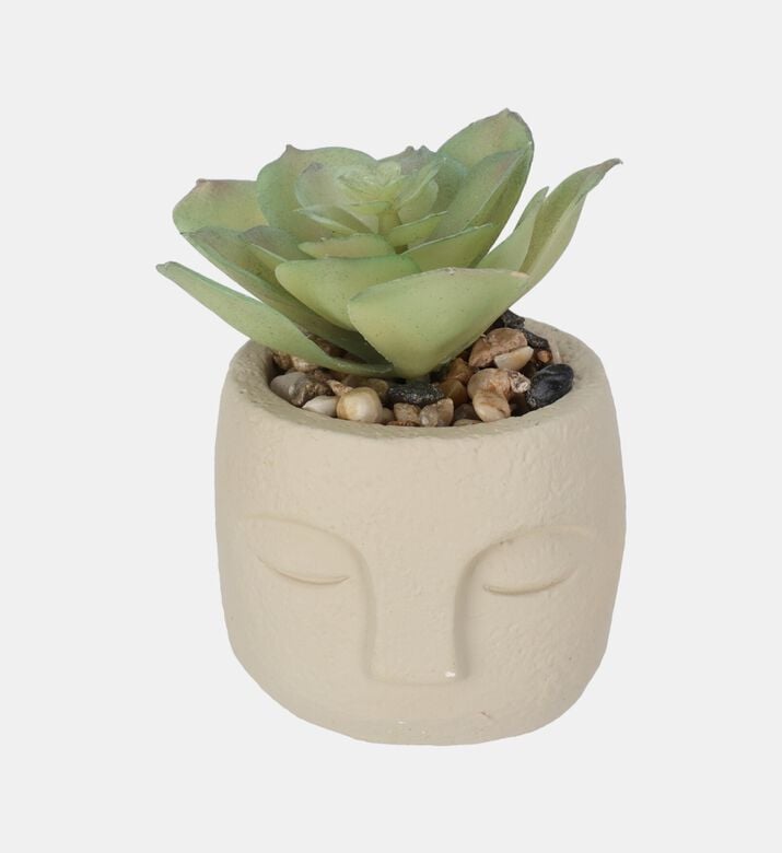 Artificial Plant-in-cement Pot