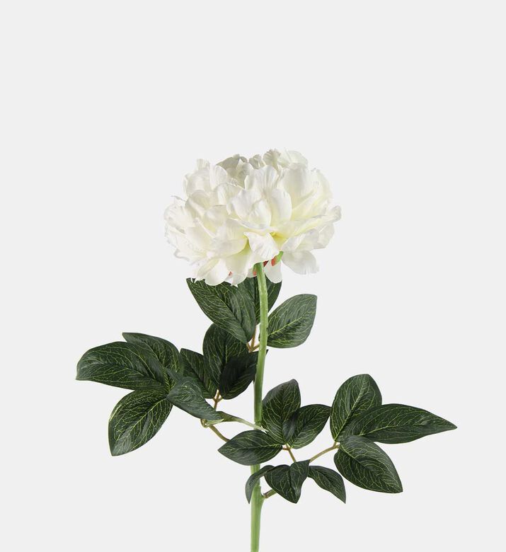 Paeonia Rosaline Faux Branch