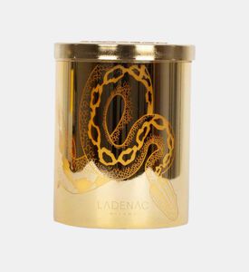 Snake Metal Candle Jar 350 Gr
