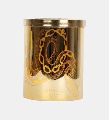 Snake Metal Candle Jar 350 Gr