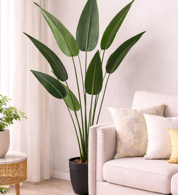 Home Deco and More Artificial Plant-in-pot, Packshot View
