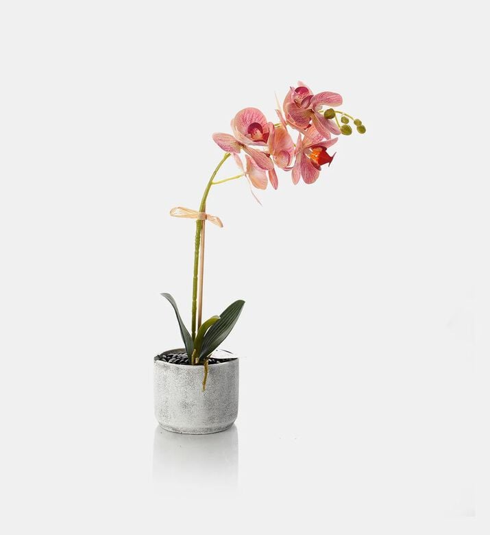 Home Deco and More Artificial Orchid Flower, Packshot View