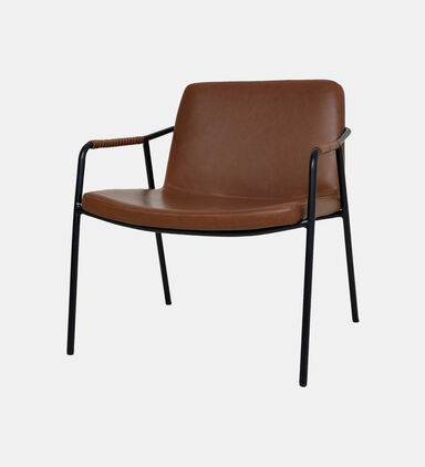 Boto Metal Leather Lounge Chair