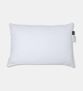 Home Deco and More Ted Pillow, Packshot View