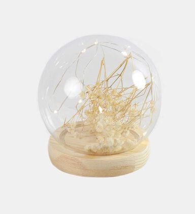 Tania Dry Flower Led Glass Ball