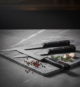 Wusthof Gourmet Knives Block 5-piece Set, Packshot View