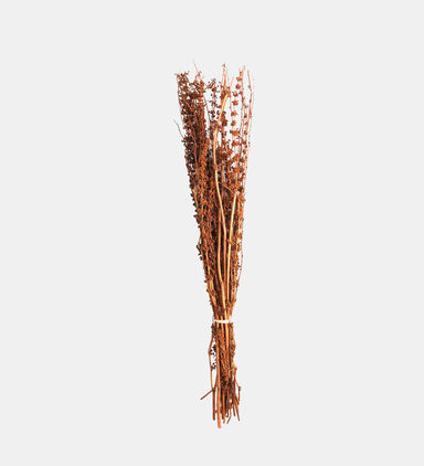 Natural Dry Grass 4-piece Set