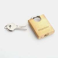 Stainless Master Lock Key Set 50mm