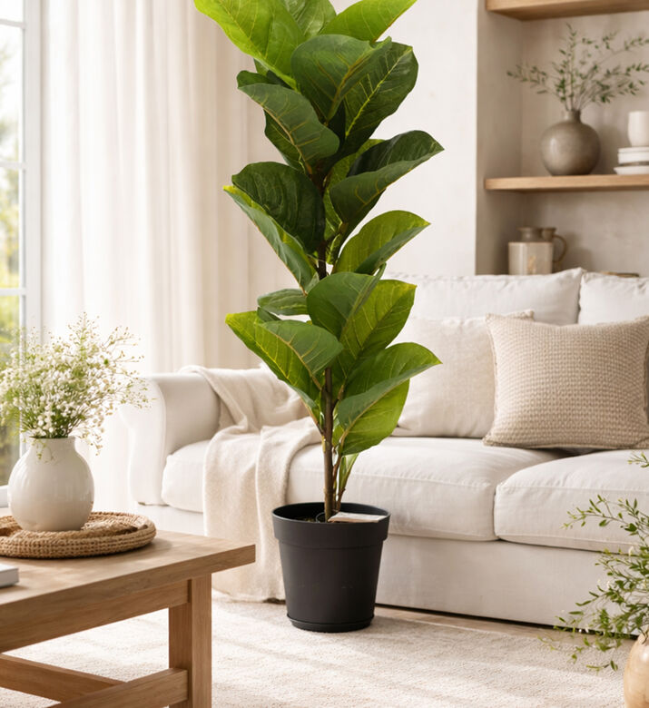 Home Deco and More Leaf Design Plant-in-pot, Packshot View