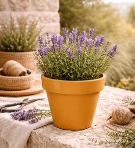 Home Deco and More Round Tiki Flower Pot, Yellow, 20x18-cm, Packshot View