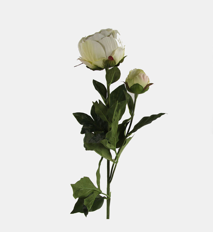 Decostar Paeonia Dian Artificial Flower, Packshot View