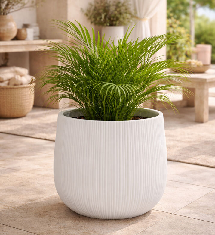 Home Deco and More Fiber Clay Ribbed Planter, White, 50-cm, Packshot View