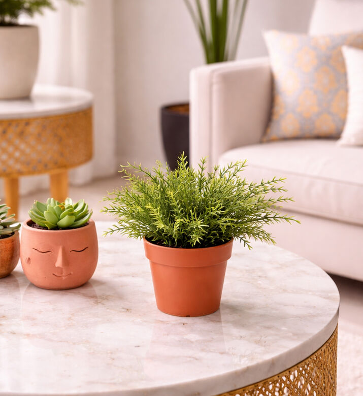 Home Deco and More Artificial Plant-in-pot, Packshot View