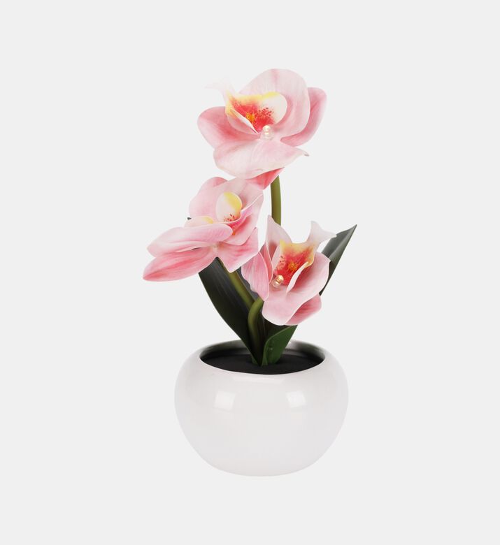 Ceramic Pot Led Orchid