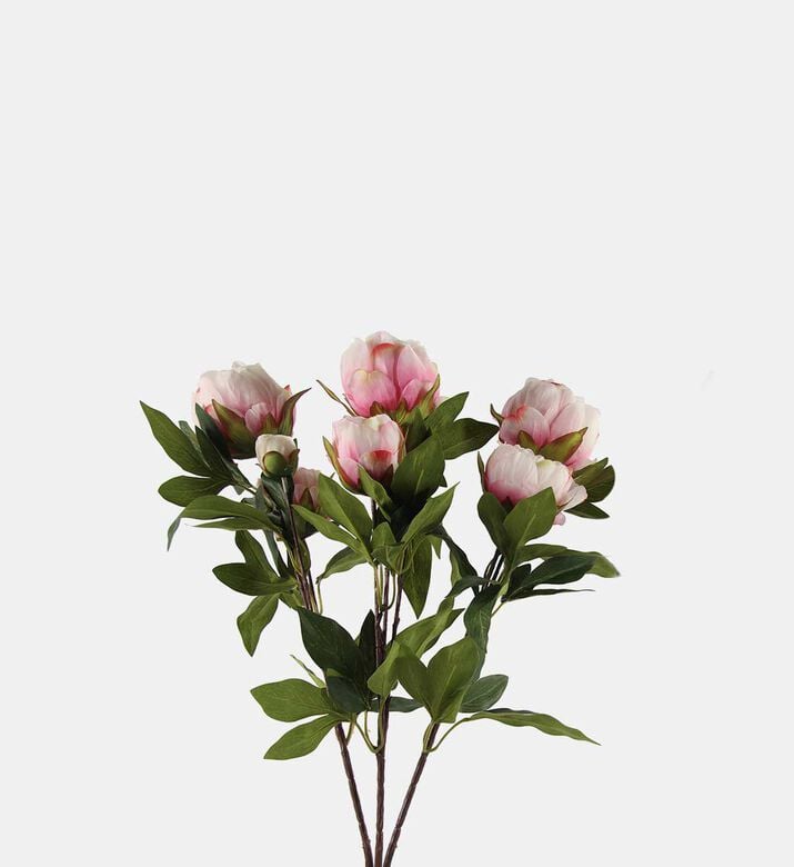 Decostar Paeonia Rosa Faux Flower Bunch, Pink, Packshot View