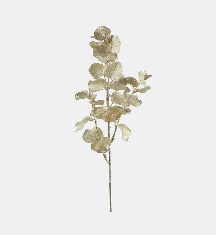 Metallic Golden Eucalyptus