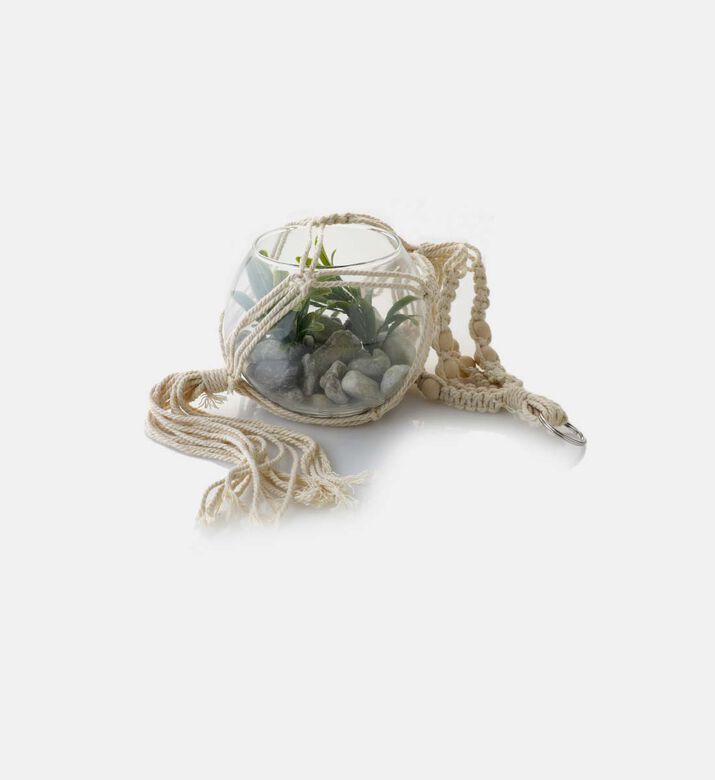 Decorative Hanging Glass Plant Pot