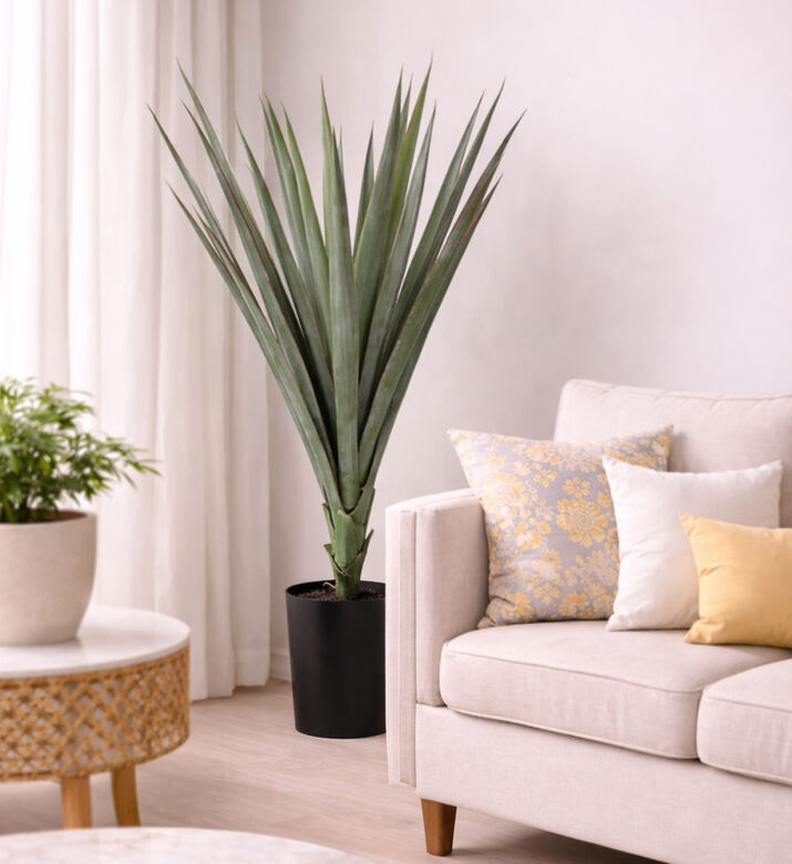 Home Deco and More Artificial Sisal Plant-in-pot, Packshot View