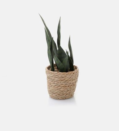 Seagrass Artificial Plant Pot