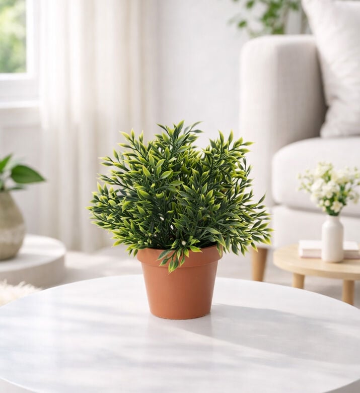 Home Deco and More Artificial Plastic Plant-in-pot, Packshot View
