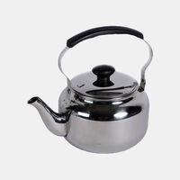 Florence Stainless Steel Kettle