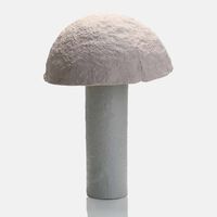 Paper Mache Mushroom Table Lamp