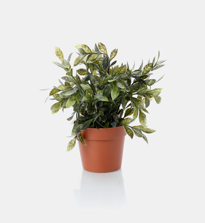 Home Deco and More Artificial Square Plant-in-pot, Packshot View
