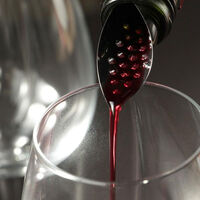 Plastic Flexible Aerator Pourers