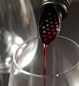 Plastic Flexible Aerator Pourers