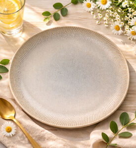 Home Deco and More Shallow Grey Serving Dish, Brown, 27-cm, Packshot View