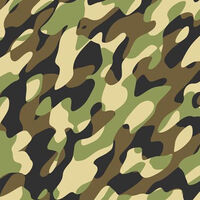 Camouflage Print Adhesive Film
