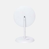 Inga Metal Standing Mirror