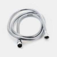 Flex Inkaflex Chrome Shower Hose