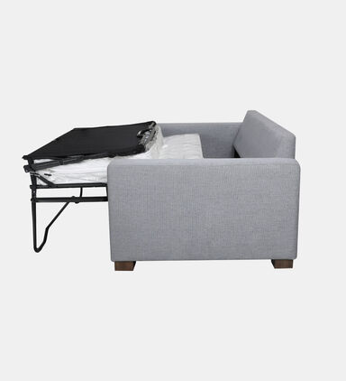 Samsee Fabric Pull-out Bed Sofa