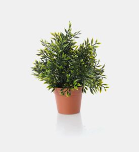 Home Deco and More Artificial Plastic Plant-in-pot, Packshot View