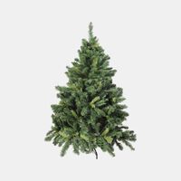Alberta Spruce Christmas Tree