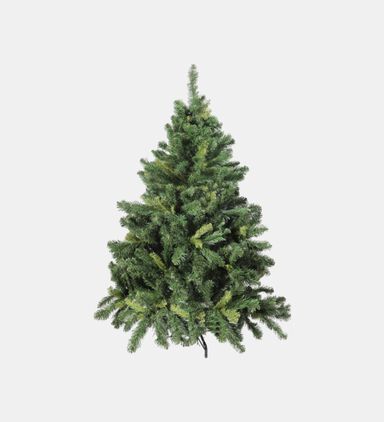 Alberta Spruce Christmas Tree