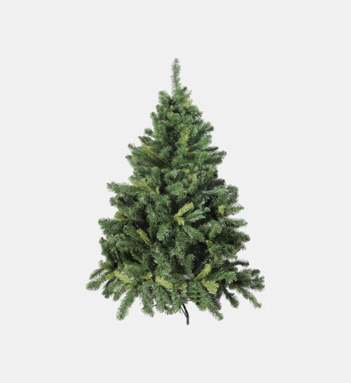 Alberta Spruce Christmas Tree