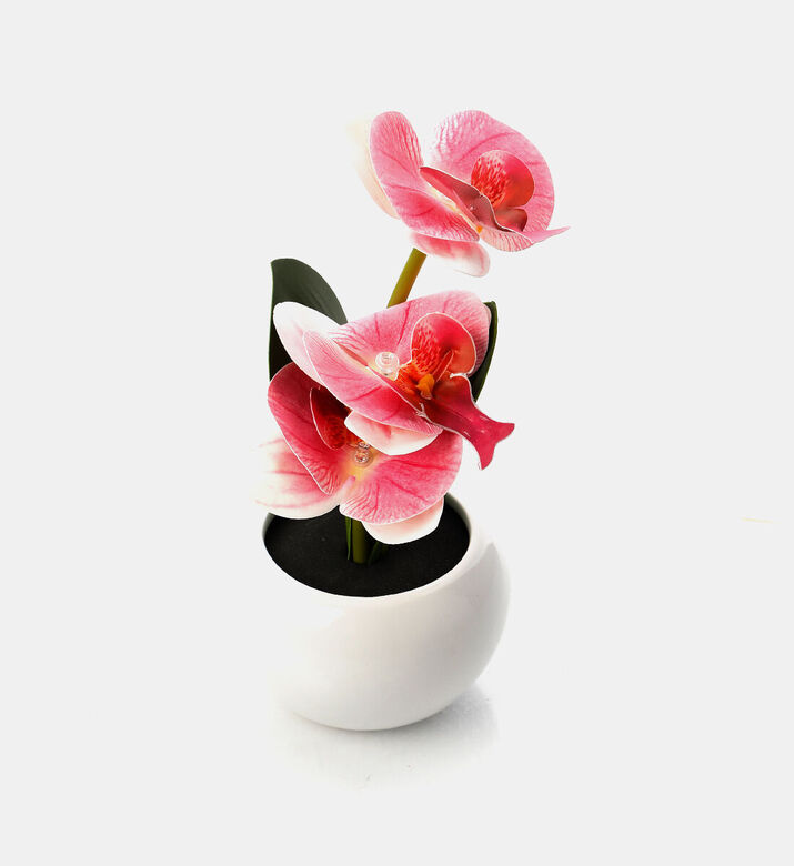 Home Deco and More Ceramic Pot Led Orchid, Packshot View