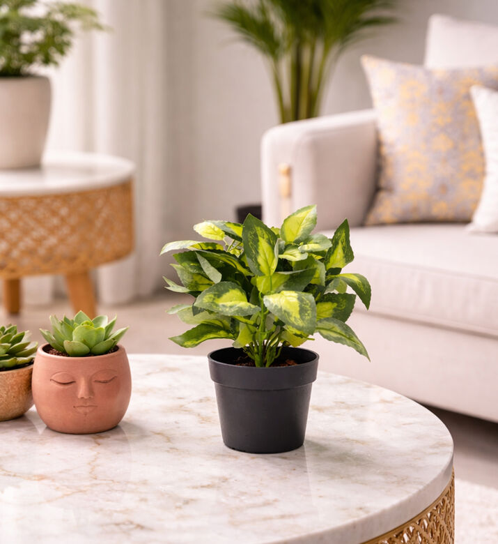 Home Deco and More Artificial Plant-in-pot, Packshot View