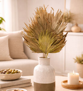 Home Deco and More Dried Palm Fan Stemmed Leaf, Light-green, 70-cm, Packshot View