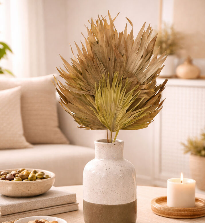 Home Deco and More Dried Palm Fan Stemmed Leaf, Light-green, 70-cm, Packshot View