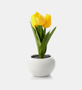Home Deco and More Led Artificial Tulips-in-pot, Packshot View